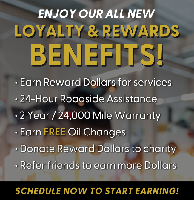 Welcome to Loyalty Rewards!