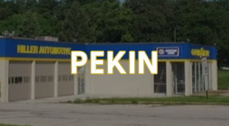 Pekin