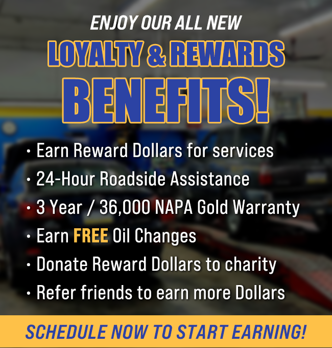 Welcome to Loyalty Rewards!
