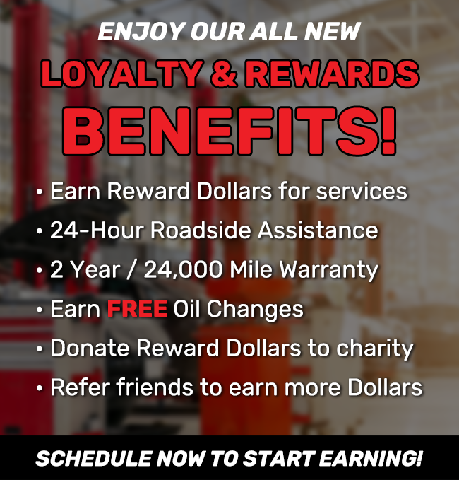 Welcome to Loyalty Rewards!